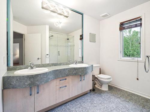 Salle de bains - 243 Rue Du Bosquet, Pincourt, QC - Indoor Photo Showing Bathroom