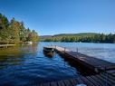 Vue sur l'eau - 734 Ch. Du Lac-Sylvère, Saint-Donat, QC  - Outdoor With Body Of Water With View 