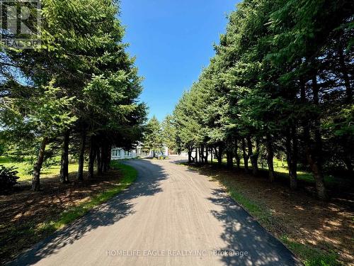 18662 Highway 48, East Gwillimbury, ON - Outdoor With View