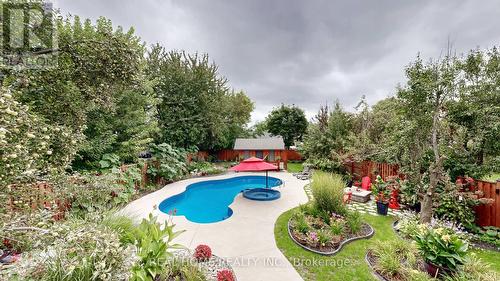 374 Elmwood Avenue, Richmond Hill (Harding), ON - Outdoor With In Ground Pool