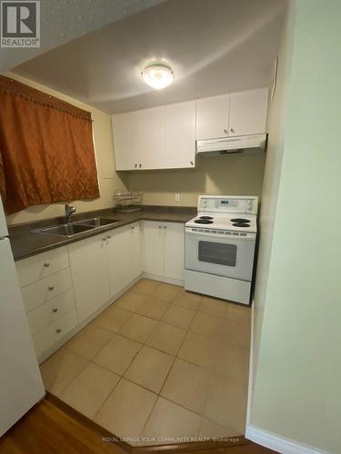 Lower - 11 Myrna Lane, Toronto, ON - Indoor Photo Showing Kitchen With Double Sink