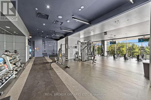 1611 - 33 Shore Breeze Drive, Toronto (Mimico), ON - Indoor Photo Showing Gym Room