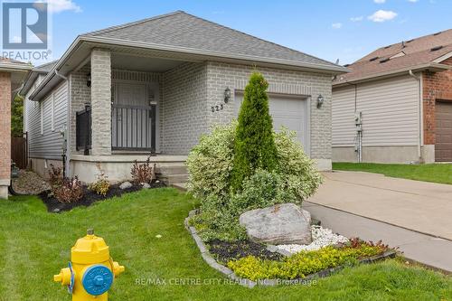 223 Crimson Crescent, London, ON - Outdoor