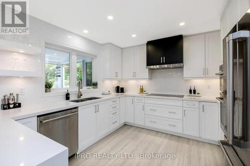 204 Main Street S, Halton Hills, ON - Indoor Photo Showing Kitchen With Double Sink With Upgraded Kitchen