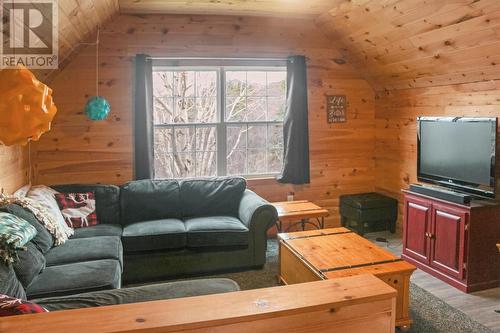 0 Berry Road, Marysvale, NL - Indoor Photo Showing Living Room