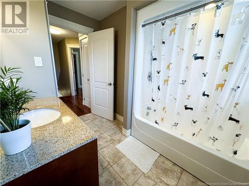 196 Mailhot, Moncton, NB - Indoor Photo Showing Bathroom