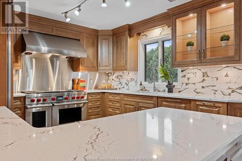 9585 Manitou Crescent, Windsor, ON - Indoor Photo Showing Kitchen With Upgraded Kitchen