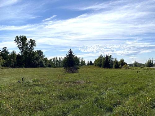 Land/Lot - 331 Ch. De St-Dominique, Saint-Pie, QC 