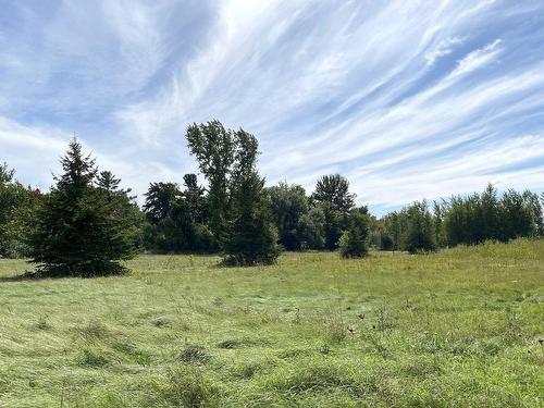 Land/Lot - 331 Ch. De St-Dominique, Saint-Pie, QC 