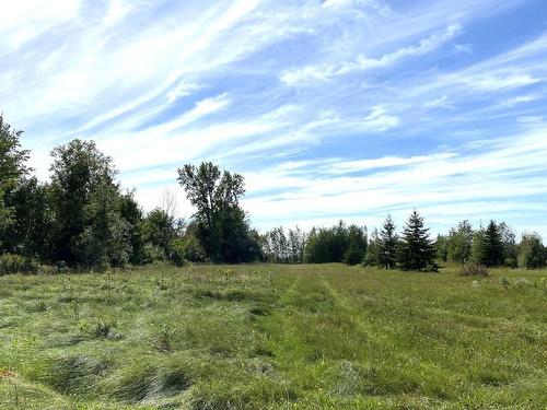 Land/Lot - 331 Ch. De St-Dominique, Saint-Pie, QC 