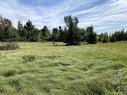 Land/Lot - 331 Ch. De St-Dominique, Saint-Pie, QC 