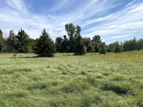 Land/Lot - 331 Ch. De St-Dominique, Saint-Pie, QC 