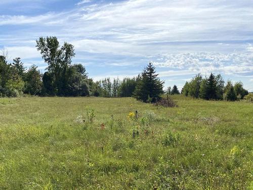 Land/Lot - 331 Ch. De St-Dominique, Saint-Pie, QC 