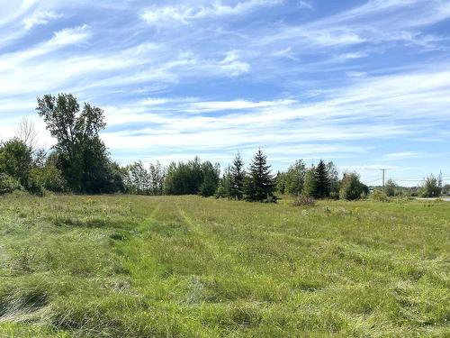 Land/Lot - 331 Ch. De St-Dominique, Saint-Pie, QC 