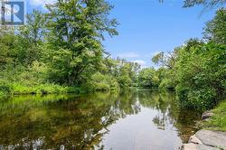 Swimming and paddling right across the road - 