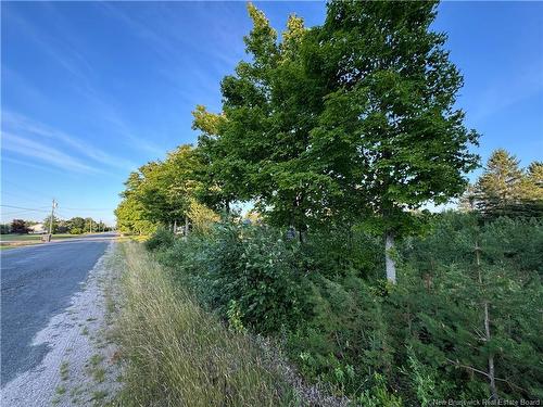 Lot Young Ridge Rd, Rogersville, NB 