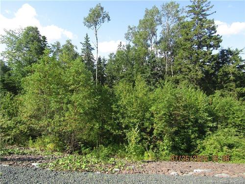 Lot #1 Highway/Manor Road, St George, NB 