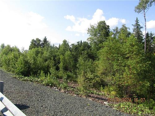 Lot #1 Highway/Manor Road, St George, NB 