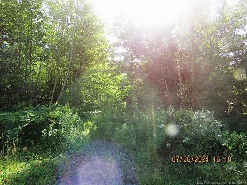 Lot #1 Highway/Manor Road, St George, NB 