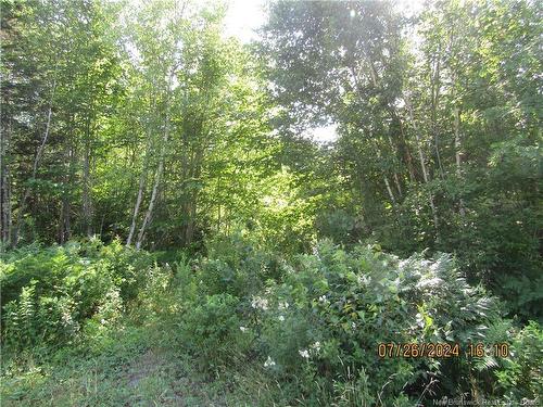 Lot #1 Highway/Manor Road, St George, NB 