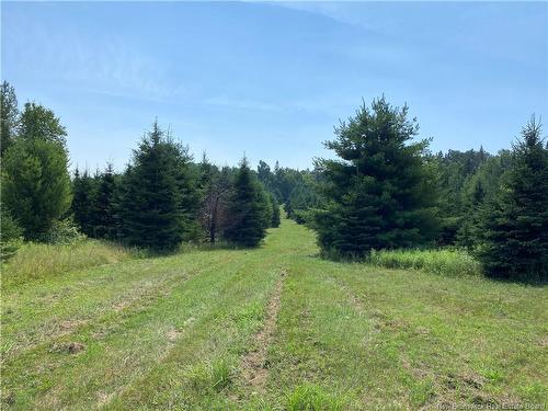 Land Archibald Rd, Belledune, NB 