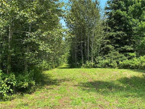 Land Archibald Rd, Belledune, NB 