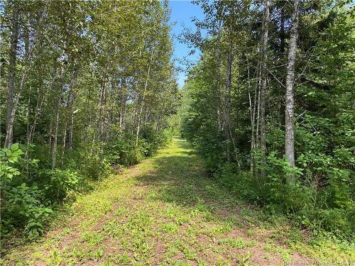 Land Archibald Rd, Belledune, NB 