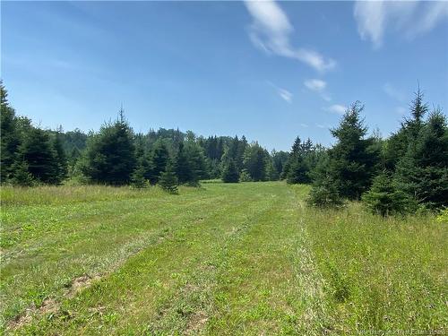 Land Archibald Rd, Belledune, NB 