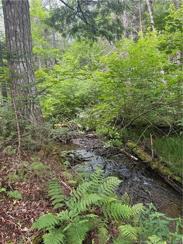 Lot Des Gallant, Saint-Ignace, NB 