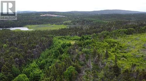 0 Peytons Pond, Pouch Cove, NL 