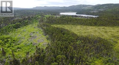 0 Peytons Pond, Pouch Cove, NL 