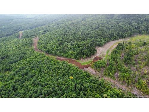 Lot 22 Crabbe Mountain, Central Hainesville, NB 