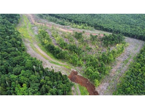 Lot 22 Crabbe Mountain, Central Hainesville, NB 