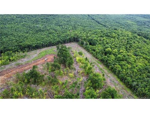 Lot 22 Crabbe Mountain, Central Hainesville, NB 