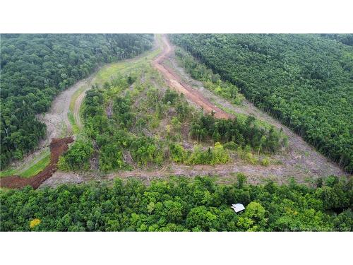 Lot 21 Crabbe Mountain, Central Hainesville, NB 