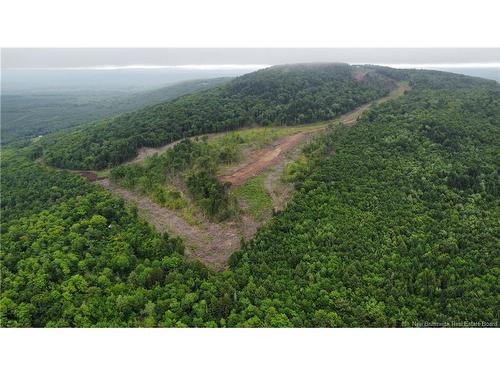 Lot 21 Crabbe Mountain, Central Hainesville, NB 