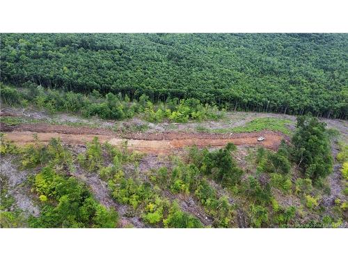 Lot 21 Crabbe Mountain, Central Hainesville, NB 