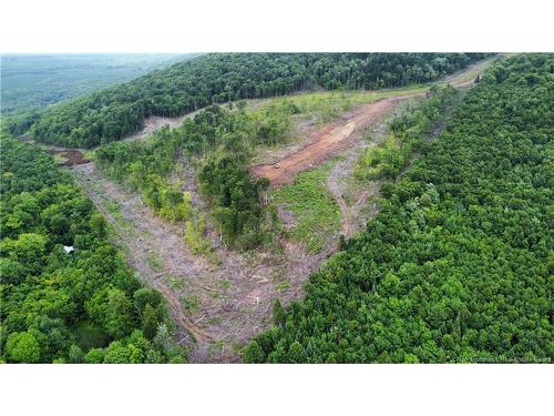 Lot 14 Crabbe Mountain, Central Hainesville, NB 