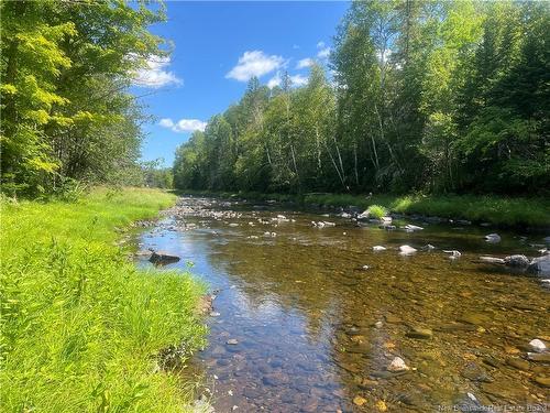 - Middle River Rd, Middle River, NB 