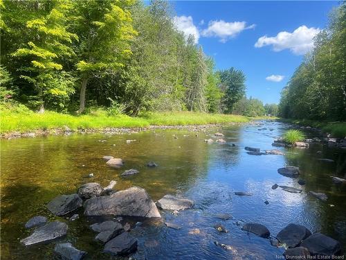 - Middle River Rd, Middle River, NB 