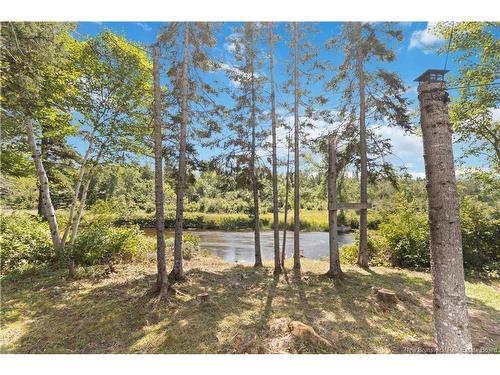 352 Juniper Brook Rd, Juniper, NB 