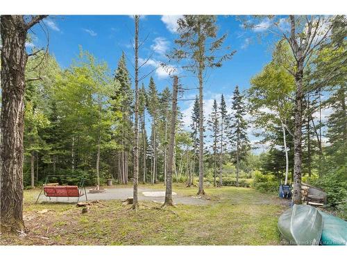 352 Juniper Brook Rd, Juniper, NB 