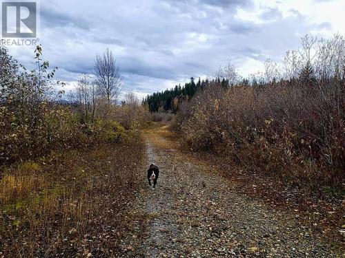 34550 Upper Fraser Road, Prince George, BC - Outdoor With View