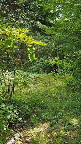 Camp Spring Road/Collier Mountain Rd, Teahans Corner, NB 