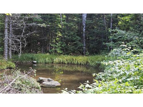 Camp Spring Road/Collier Mountain Rd, Teahans Corner, NB 