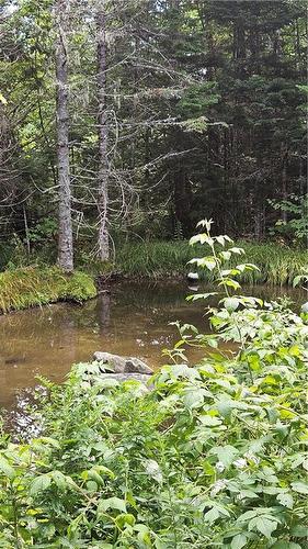 Camp Spring Road/Collier Mountain Rd, Teahans Corner, NB 