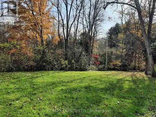 289 Maines Road, Tweed, ON - Outdoor With View