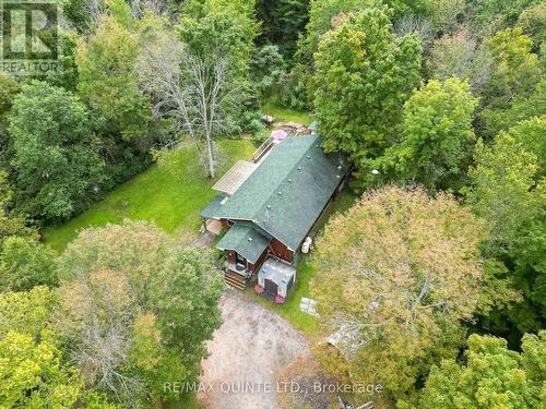 289 Maines Road, Tweed, ON - Outdoor