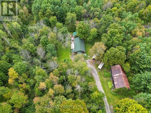 289 Maines Road, Tweed, ON - Outdoor