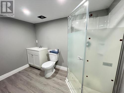 Lower - 333 Grand View Avenue, London, ON - Indoor Photo Showing Bathroom